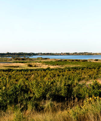 parc-naturel-narbonnaise
